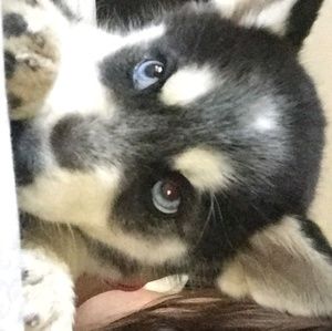 Meet your Posher, Thalia